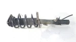 2018 2019 Ford Escape Oem Front Left Strut. Fixed Price $79.00.