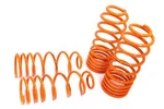 Megan Racing Suspension Lowering Springs For 93-95 Vw Golf MK3 Mkiii A3 VR6 All. Fixed Price $2400.00.