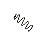 Bilstein B3 Oe Replacement Coil Spring 37-161262. Fixed Price $74.36.