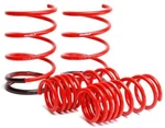 SKUNK2 Racing 519-05-1570 Lowering Coil Spring Set. Fixed Price $251.99.