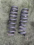 Bmw F36 Rear Axle Suspension Left Right N/o/s Coil Spring Set Gr 6855545 #10M. Fixed Price $28.20.