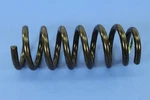 Genuine Mopar Front Coil Spring 4670431AA. Fixed Price $77.04.
