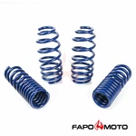 Fapo Lowering Springs For Dodge Challenger 08-21 1.5"F/1.5"R V6 V8 Blue. Fixed Price $139.99.