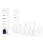 H&r 51650-99 Lowering Springs Kit For 79-04 Mustang V8 / 96-04 V6 93-98 Cobra. Fixed Price $357.90.