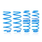 Maxpeedingrods Performance Lowering Springs Ford Fiesta (MK6) 2011-19. Fixed Price $135.00.