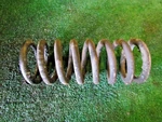 2001 Bentley Arnage Rear Lh Driver Coil Spring. Fixed Price $48.00.