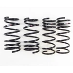 Rs-r F065S Super Down Sus Springs For 2013-2016 Subaru. Fixed Price $225.48.