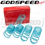 Godspeed LS-TS-FD-0015-A Traction-s Lowering Springs Ford Escape 2001-12. Fixed Price $228.96.