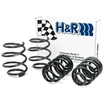 H&r 29485 Lowering Sport Springs Kit Set For 1999-05 Bmw 323I 325I 328I 330I E46. Fixed Price $246.73.