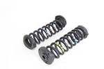 2017 - 2019 Mercedes E300 W213 Rear Left & Right Side Suspension Coil Spring Set. Fixed Price $67.99.
